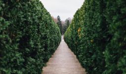 How to get a job in a hedge fund