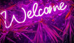 welcome in pink 