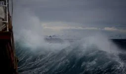 The banks with the safest jobs during the COVID-19 storm