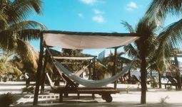 One of Bank of America's top female quants quit for the Caribbean