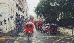 Shocked by London, bored by Singapore, expats return to Hong Kong