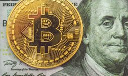 Should you become a Bitcoin scripting language engineer?