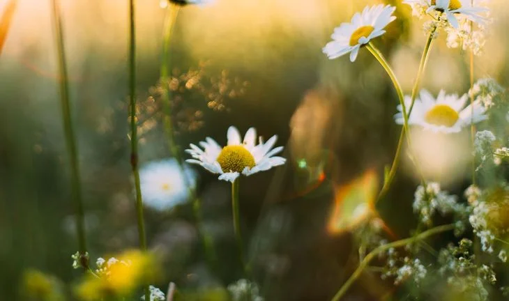 Why you need a spring week internship in an investment bank
