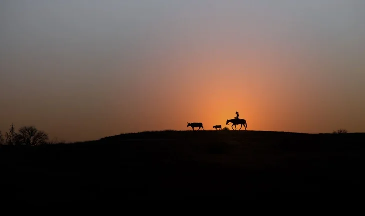 a cowboy on horse at sunset