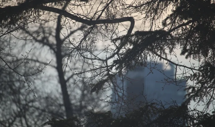 Morgan Stanley VP in his 30s identified as man who fell from tower