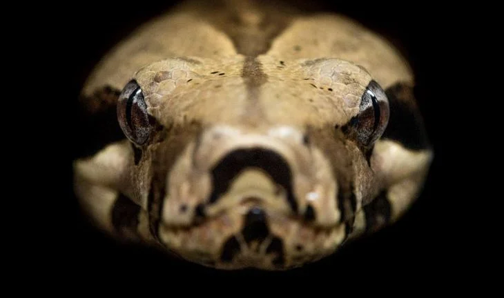 “Learn Python for hedge fund jobs, and don’t be afraid of legacy systems”