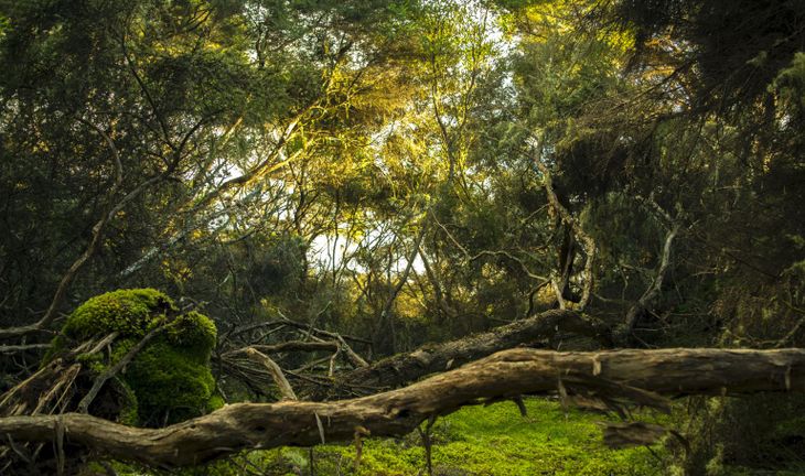 “ESG is fundamentally not understood by the finance industry”