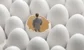 The hedge funds hiring graduates and interns