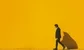 "I successfully challenged a bank for firing me for poor performance. Here's what to do"  