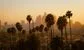Hedge Fund Balyasny quietly opened a new office near the beach