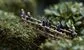 All the jobs in hedge funds and how to get them
