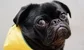 First bank announces bonuses. Not everyone is delighted