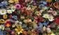 Morgan Stanley will be opportunistically hiring bankers as "pot pourri" of deals returns