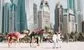 Dubai vs Abu Dhabi: How finance’s two hottest cities stack up