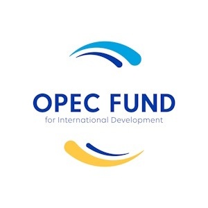 Director, Innovative Financing Solutions